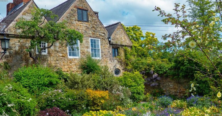 Ultimate Beauty Guide