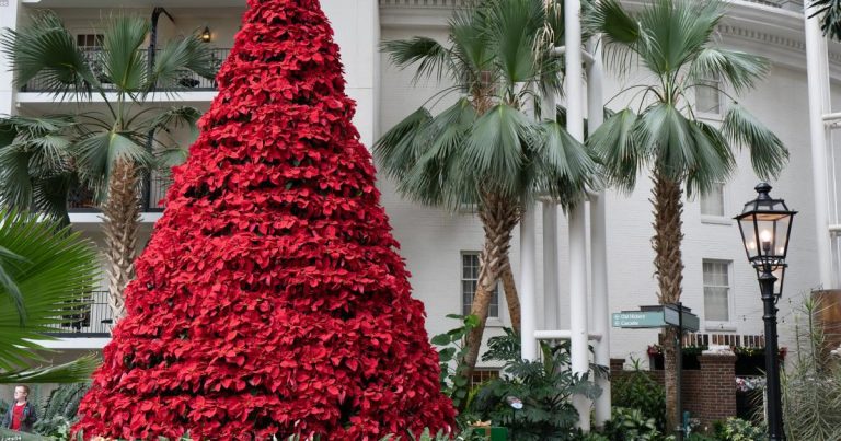 Home Decor Tips and Ideas